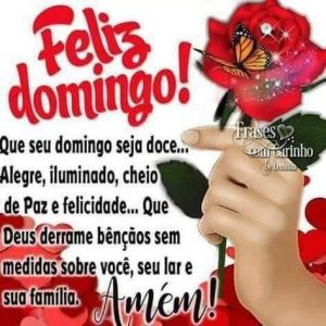 Feliz Domingo Flores Para Whatsapp