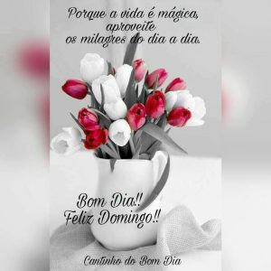 Feliz Domingo Frases Para Celular