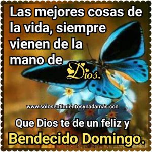 Feliz Domingo Para Facebook Para Celular