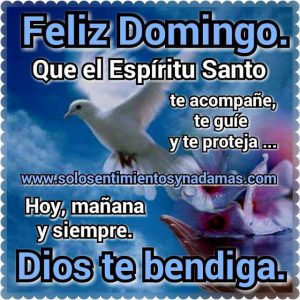 Feliz Domingo Para Mi Amor Para Celular