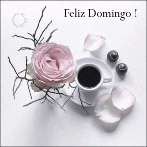 Feliz domingo para todos para celular
