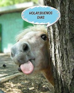 Feliz Sabado Amiga Para Descargar