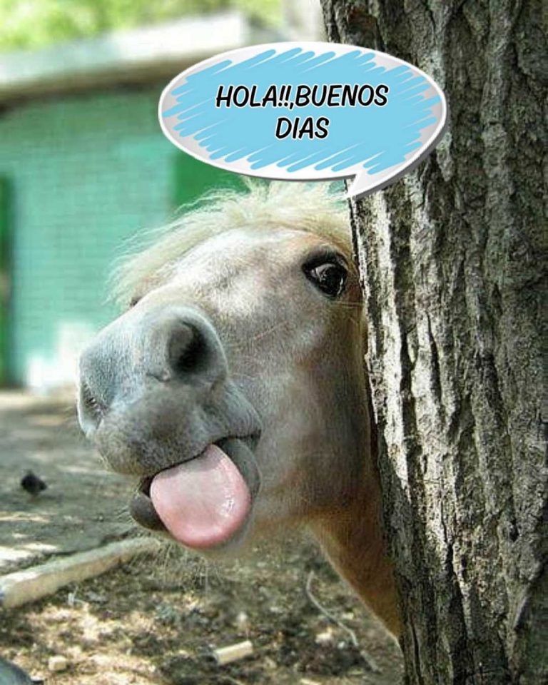 Feliz Sabado Amiga Para Descargar