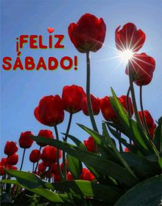 Feliz Sabado Con Jesus Para Facebook