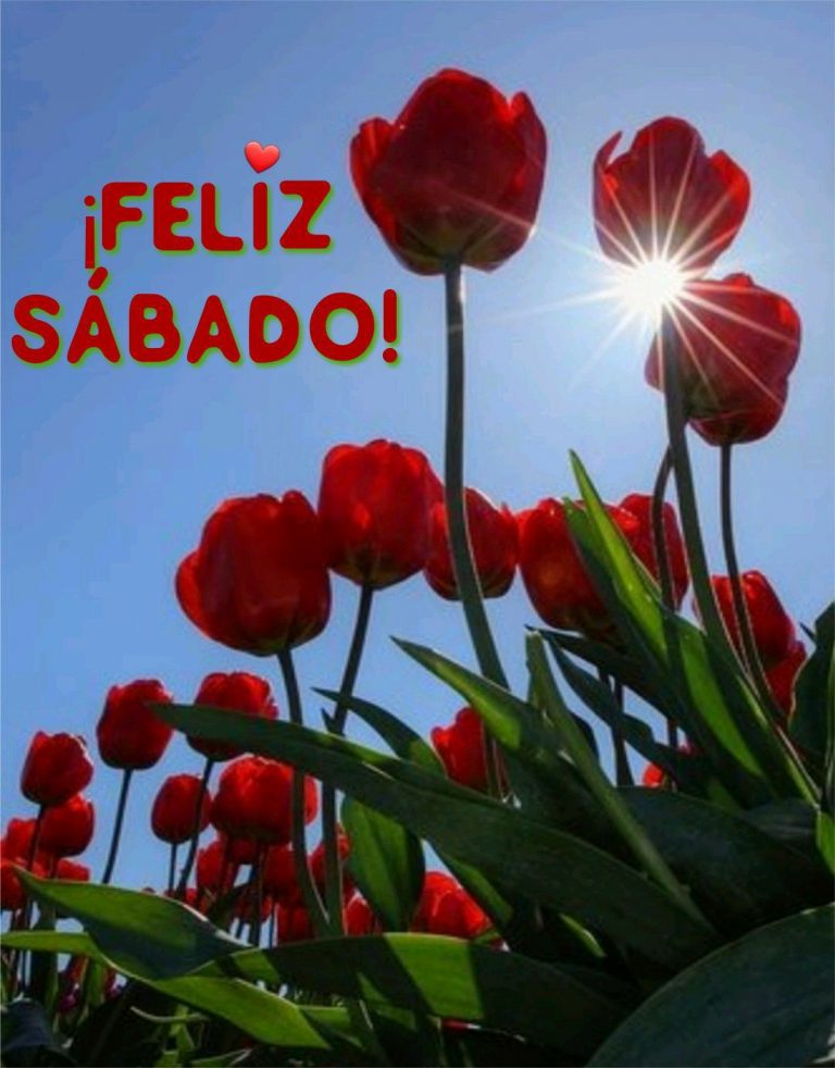Feliz Sabado Con Jesus Para Facebook