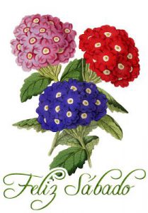 Feliz Sabado Frases Para Descargar