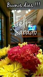Feliz Sabado Frases Para Facebook