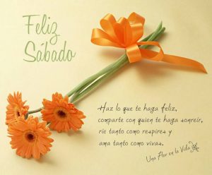 Feliz Sabado Gif