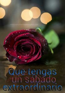 Feliz Sabado Gifs Para Celular