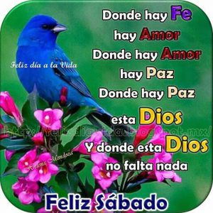 Feliz Sabado Grupo Para Descargar