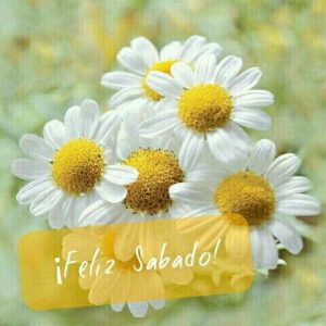 Feliz Sabado Mi Amor Imagenes Para Celular
