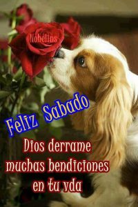 Feliz sábado navideño para WhatsApp