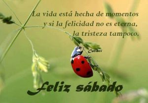 Feliz Sabado Para Whatsapp Para Descargar