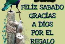 Photo of Feliz Sabado Tarjetas Para Whatsapp