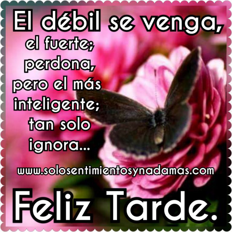 Feliz Tarde Amigos Imagenes Para Whatsapp Celular