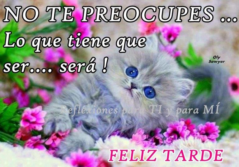 Feliz Tarde Amor Para Whatsapp Celular