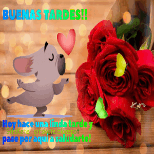 Feliz tarde de domingo gif animadas