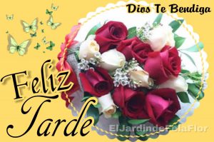 Feliz Tarde De Domingo Para Whatsapp Celular