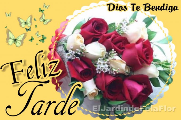 Feliz Tarde De Domingo Para Whatsapp Celular