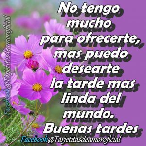 Feliz tarde de lunes para Facebook y WhatsApp
