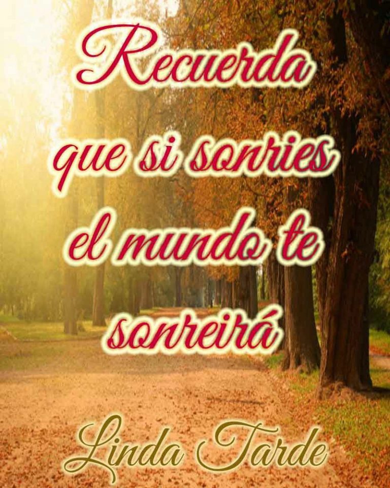 Feliz Tarde De Miercoles Para Facebook Y Whatsapp