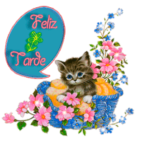 Feliz tarde frases gif animadas