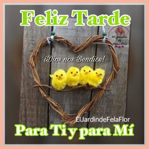 Feliz Tarde Grupo Para Whatsapp Celular