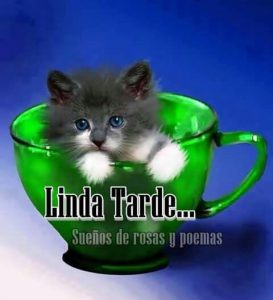 Feliz Tarde Para Todos Para Whatsapp Celular