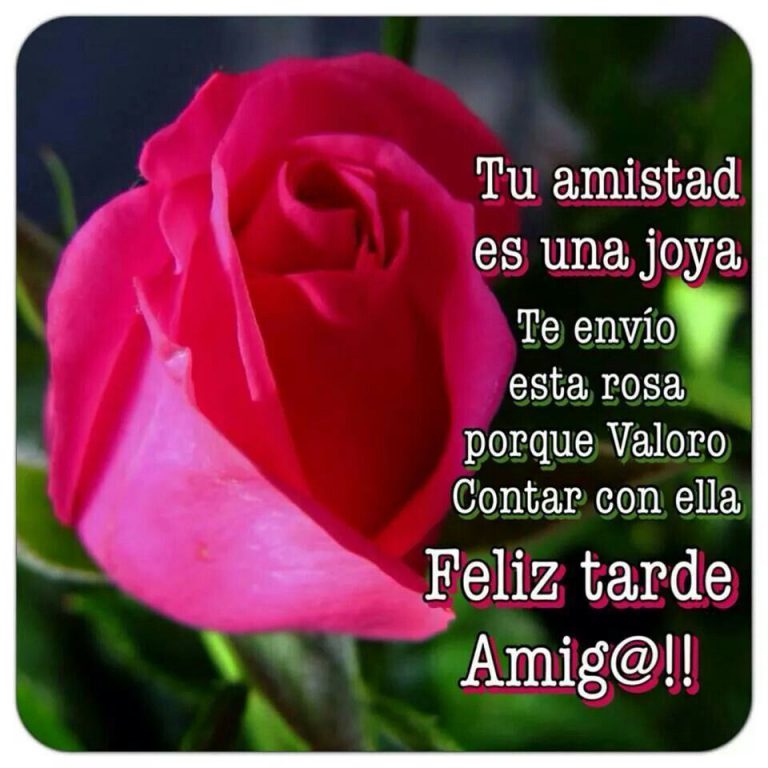 Ffec9f631f41b5deb45ecdf7291f5a13.jpg