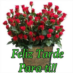 Figuras De Buenas Tardes Para Facebook Y Whatsapp