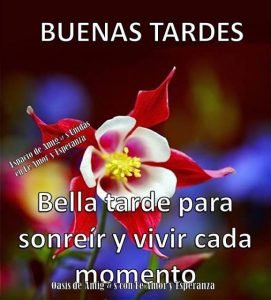 Figuras De Buenas Tardes Para Whatsapp Celular