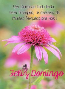 Figuras De Feliz Domingo Para Celular