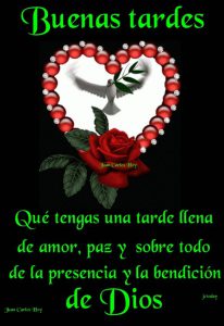 Flor Buenas Tardes Para Whatsapp Celular