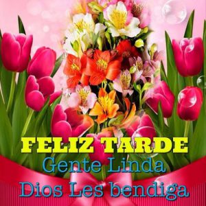 Flores De Buenas Tardes Para Whatsapp Celular