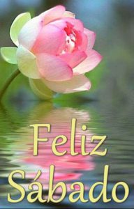 Foto Feliz Sabado Para Whatsapp