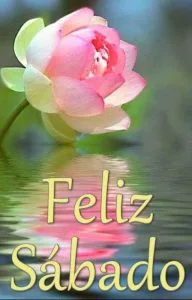 Foto feliz sábado para WhatsApp