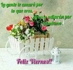 Fotos Bonitas De Buenos Dias