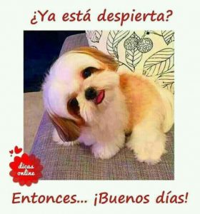 Fotos Bonitas Para Dar Los Buenos Dias