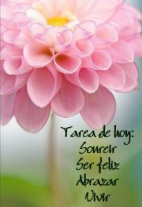 Fotos Bonitas Para Dar Los Buenos Dias Para Celular