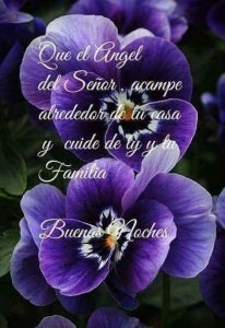 Fotos buenas noches amor para Facebook