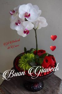 Fotos Buenas Noches Gratis Para Celular