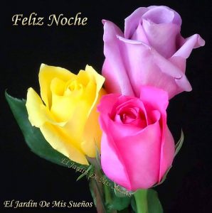 Fotos Buenas Noches Para Descargar Gratis