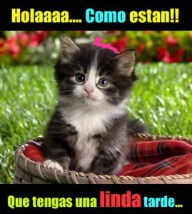 Fotos Buenas Tardes Para Facebook Y Whatsapp