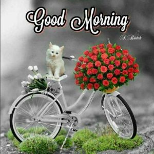 Fotos Buenos Dias Para Facebook