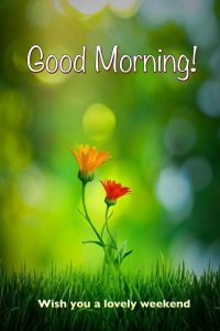 Fotos Buenos Dias Para Una Amiga