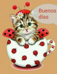 Fotos Con Frases Bonitas De Buenos Dias Para Whatsapp