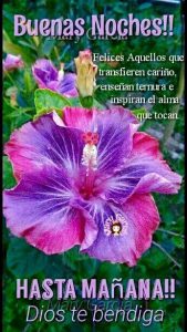 Fotos De Buenas Noches Para Celular