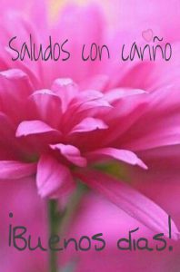 Fotos De Buenos Dias Amor Para Descargar