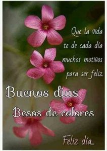 Fotos De Buenos Dias Amor Para Una Amiga