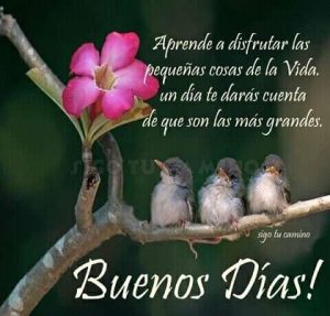 Fotos De Buenos Dias Bonitas Para Mi Amor